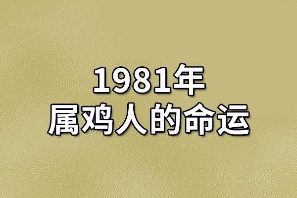 1978年出生的人命运解析与性格特点