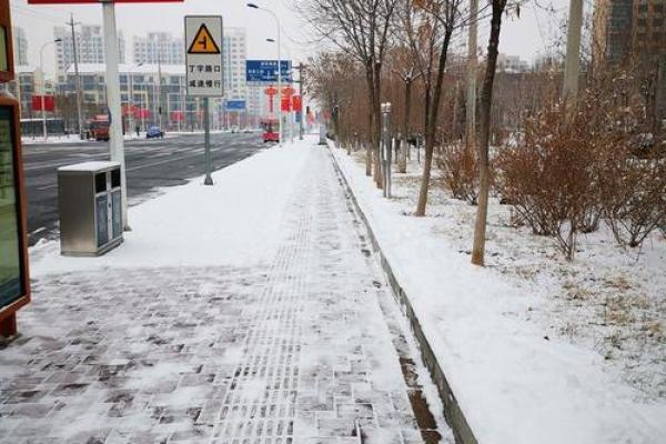 探索天津的雪季：什么时候最有可能下雪？