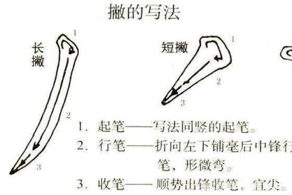 外＂字的笔顺详细写法及注意事项解析