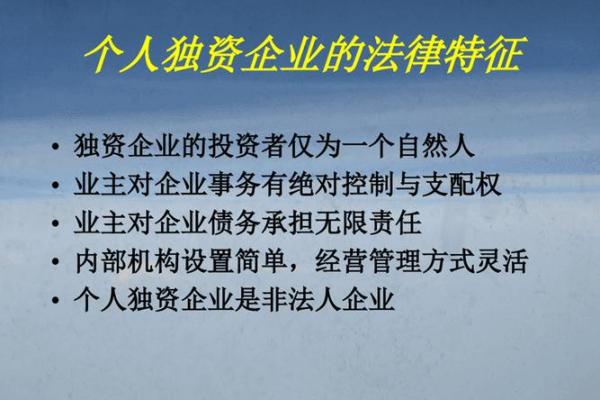 自然人独资企业类型及其法律特征解析