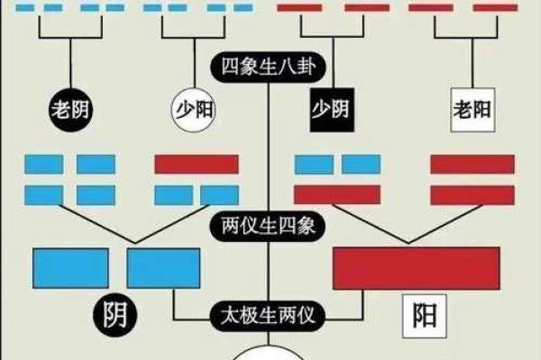 探索‘乾’字的五行属性与文化内涵