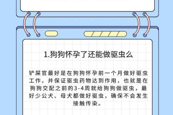 小狗驱虫全攻略：科学方法与注意事项