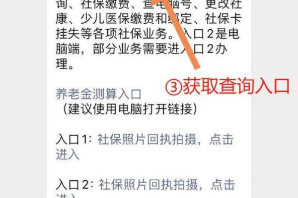 如何查询社保电脑号？详细步骤解读