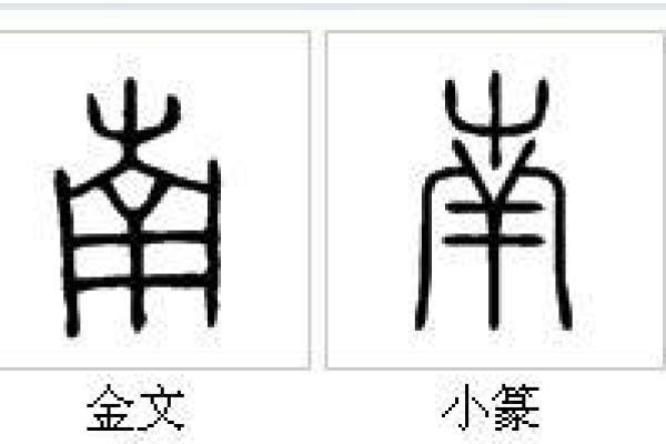 详细解析‘朱’字的繁体字书写及其演变