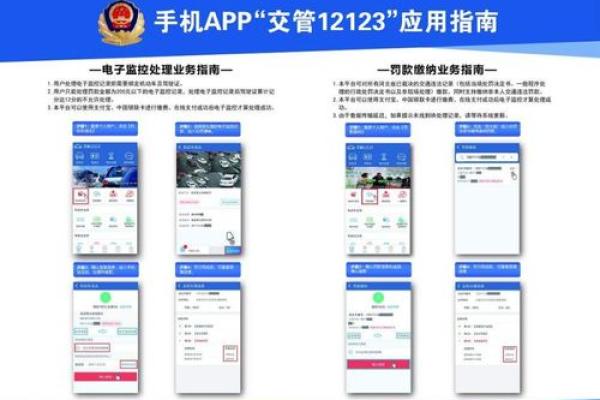如何快速查询交通违章记录的方法与步骤