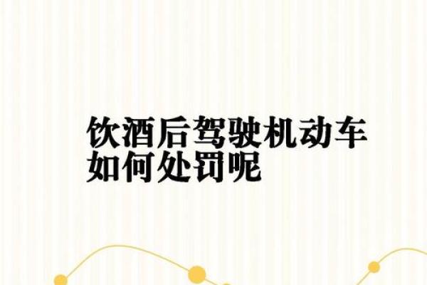 酒驾行为的法律后果与处理措施全面解析