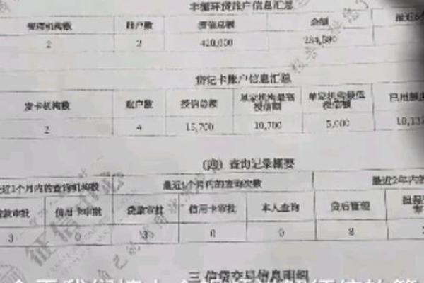 如何检查征信报告中的问题及其解决方法